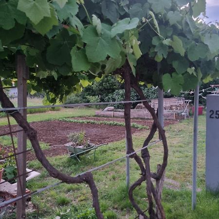 Apartman Dasa Rijeka Bagian luar foto