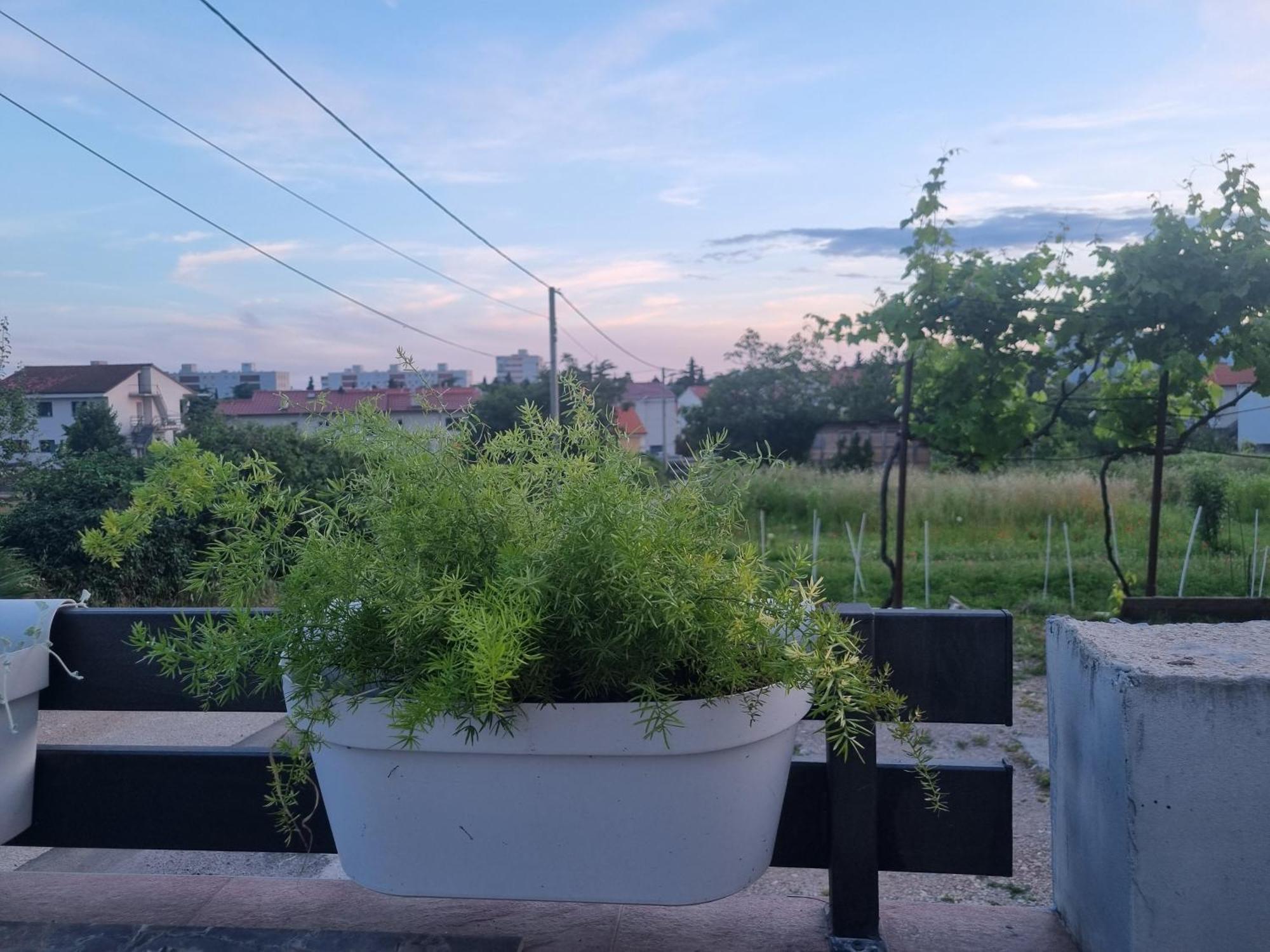 Apartman Dasa Rijeka Bagian luar foto