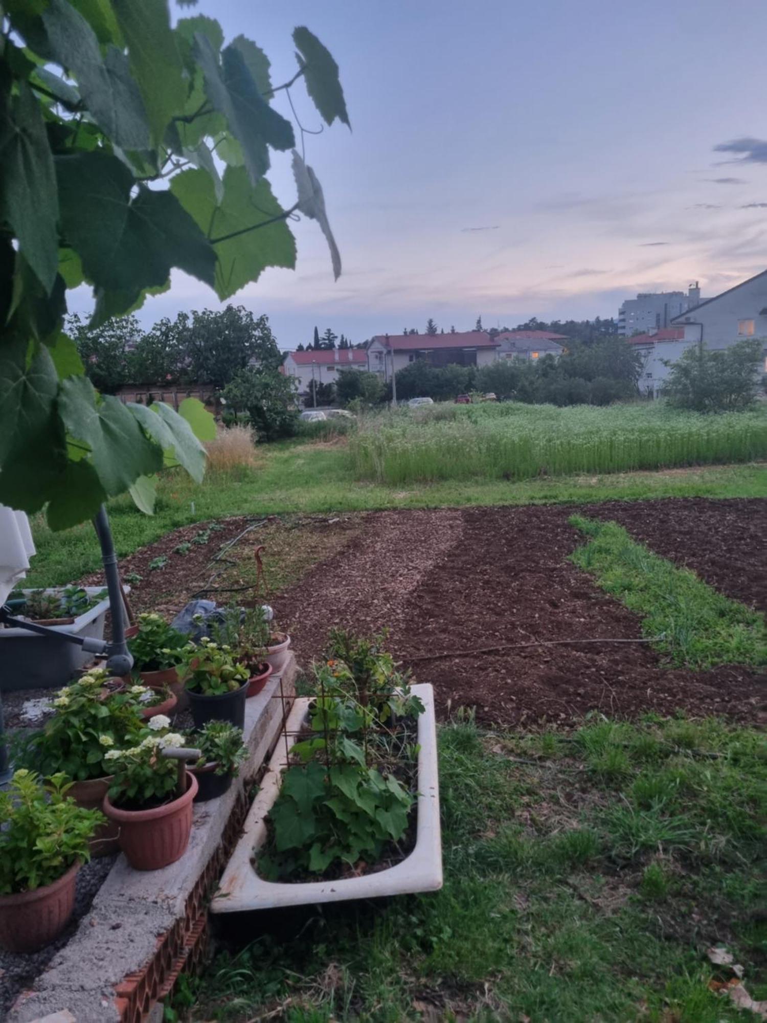 Apartman Dasa Rijeka Bagian luar foto