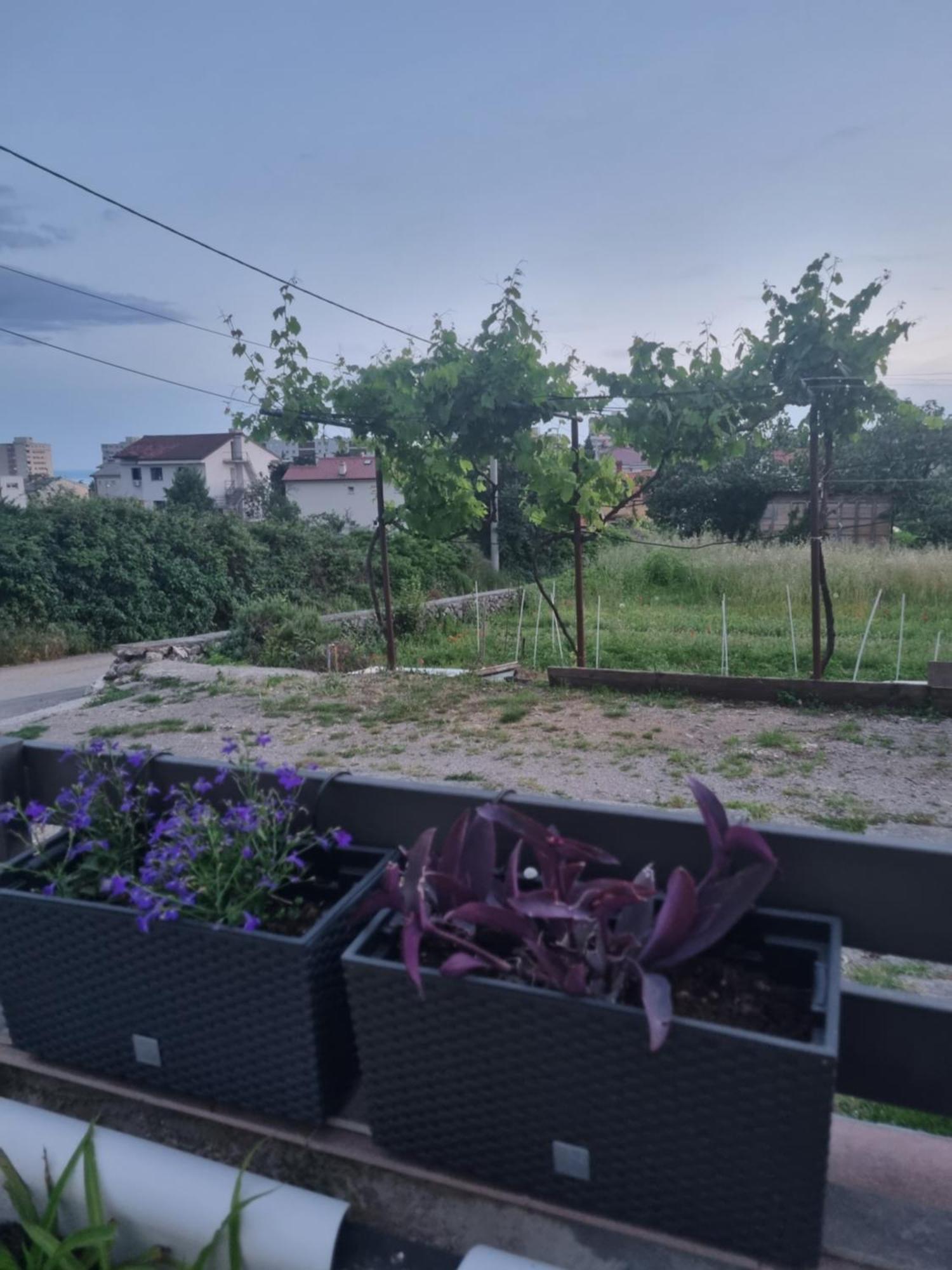 Apartman Dasa Rijeka Bagian luar foto