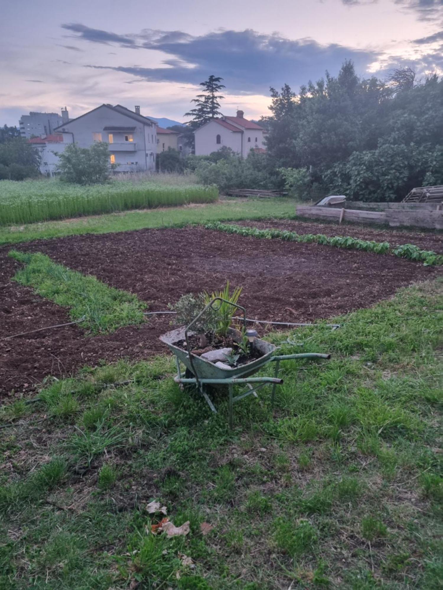 Apartman Dasa Rijeka Bagian luar foto